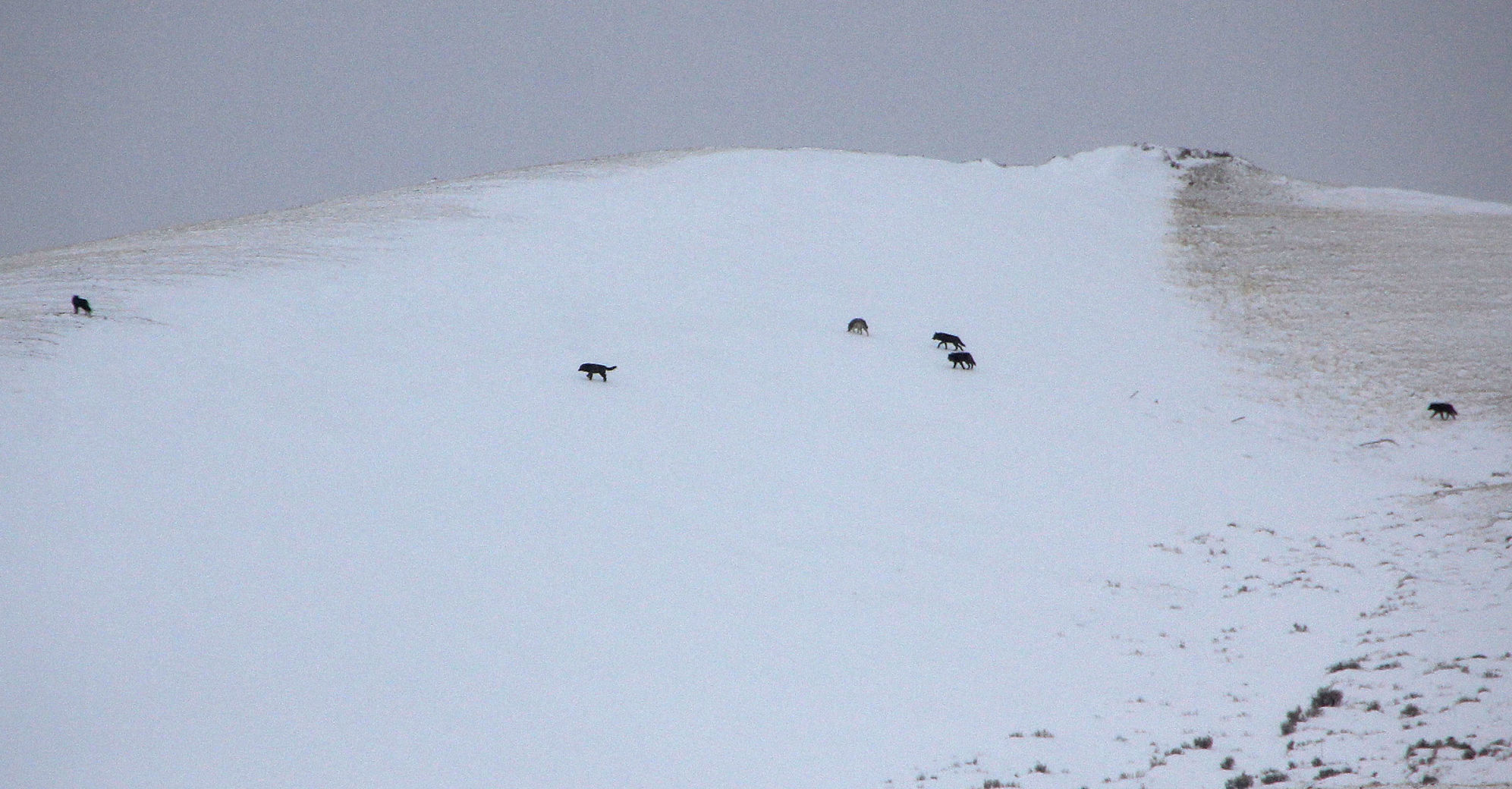 High Country Chroniques